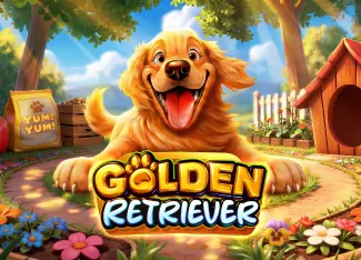 Pragmatic : Golden Retriever - SNIPLAY88